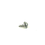 N10003203 Headlight Mounting Screw